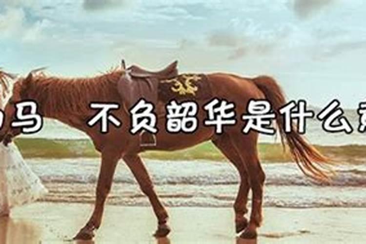 2022年10月25日农历十月初一出生的女孩命好吗 志得意满有富贵？
