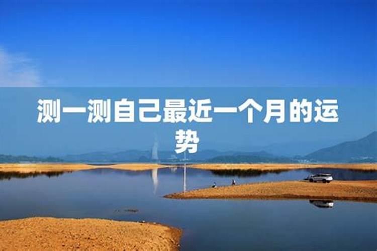 农历十月的牛命运怎么样