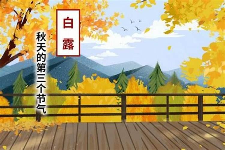 属虎人最苦命出生时辰女孩