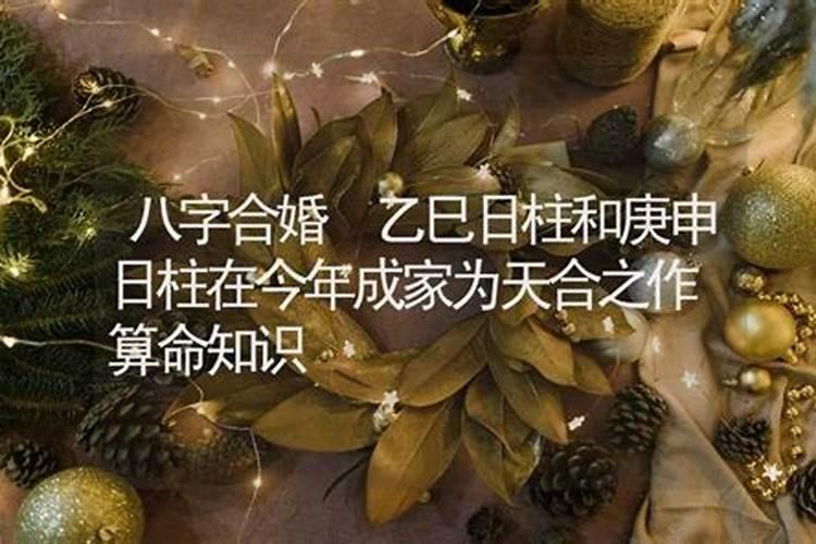 过春节国内最适合去的地方是哪里