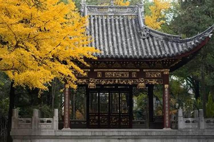 打麻将的时候,为什么会有连续一段时间运气特别好的现象？