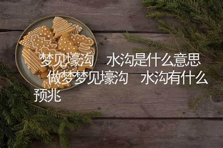 梦见浅水龙的预兆