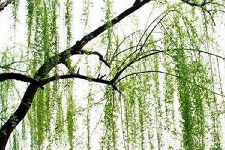 为什么把"8月15"定为是中秋节