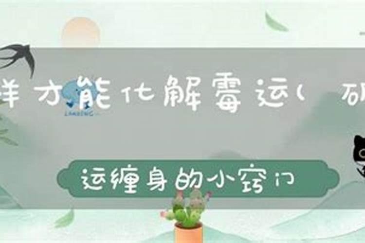 马和马相配婚姻如何在一起好吗,男马和女马属相合不合