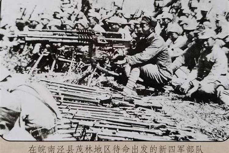 2025属蛇人的全年运势如何