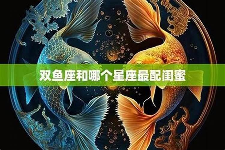 双鱼座狗男和双子座鼠女配吗？为什么在一起总是出事？
