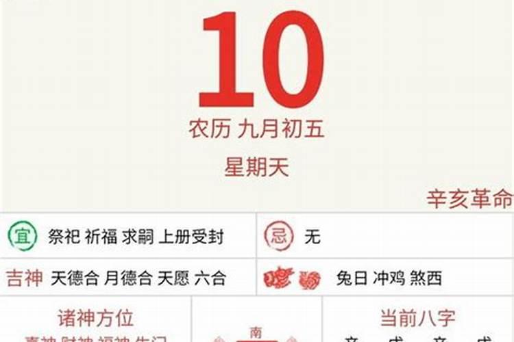 辛卯日柱人的命运解析？