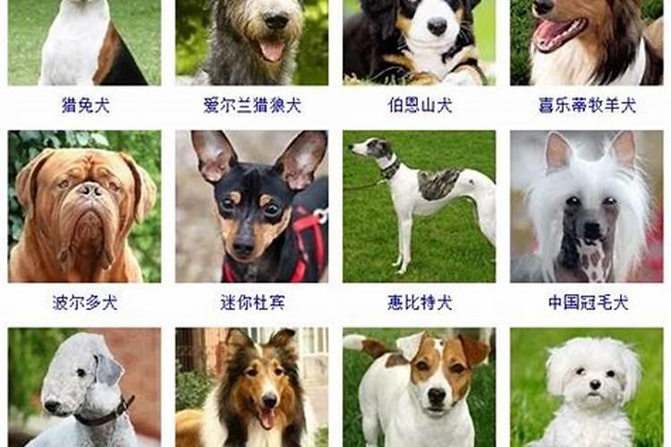怎么给自己补财库？做一场补财库多少钱？
