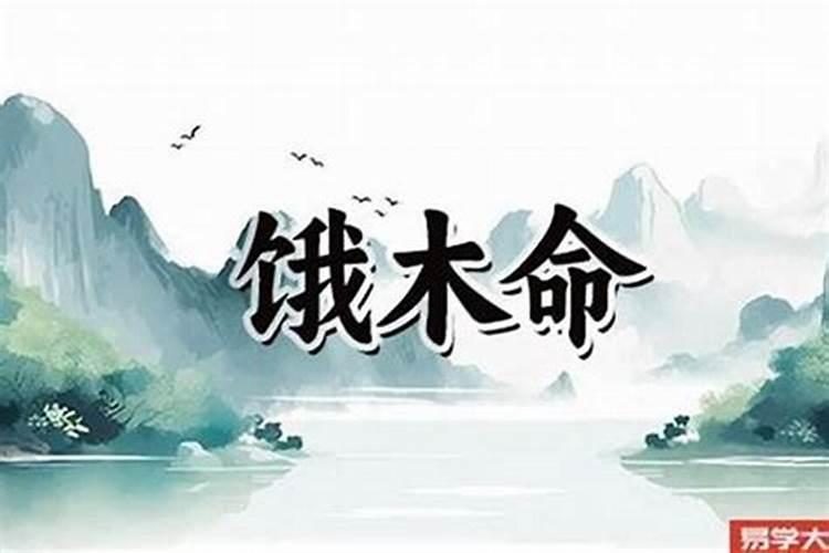 木命的人怎么旺财