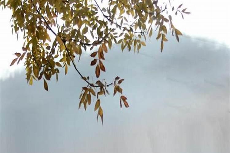 立秋后养生应注意什么