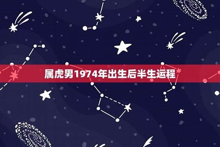 狗年属蛇人的运势,属蛇的人明年的运气会怎样,