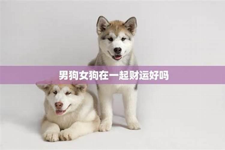 男狗女龙在一起特别好吗 二人谁克谁