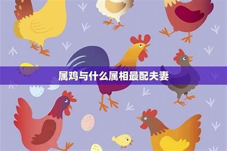 属牛的今年的运气