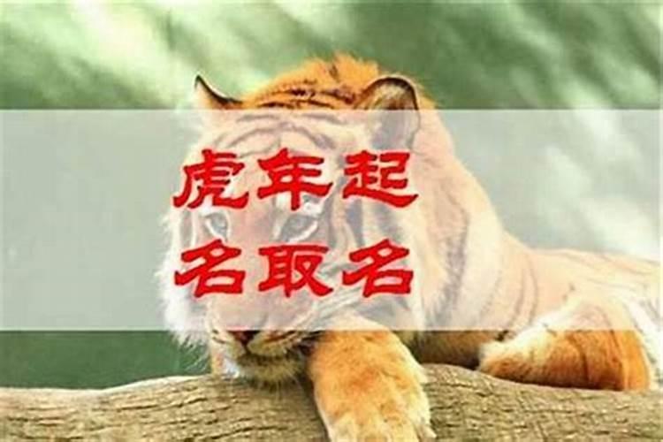 立秋之后出生的虎宝宝寓意霸气好名字分享