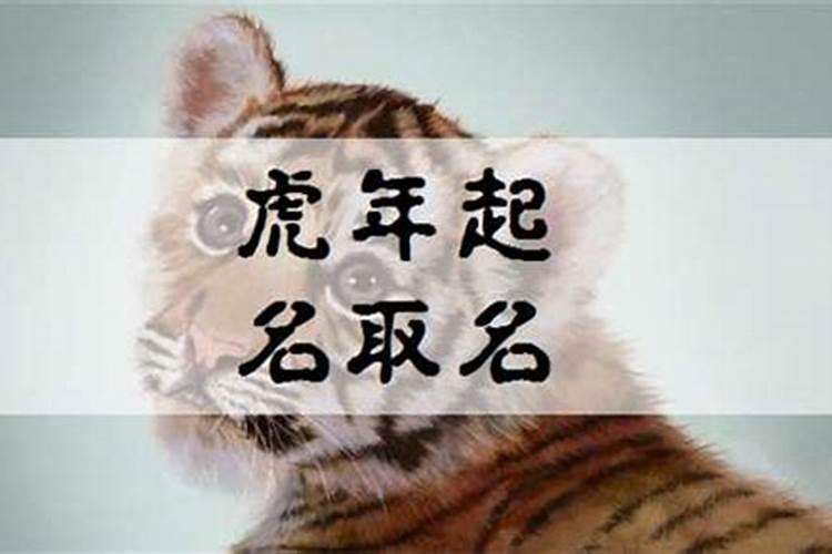 虎年出生取名用字 好听的