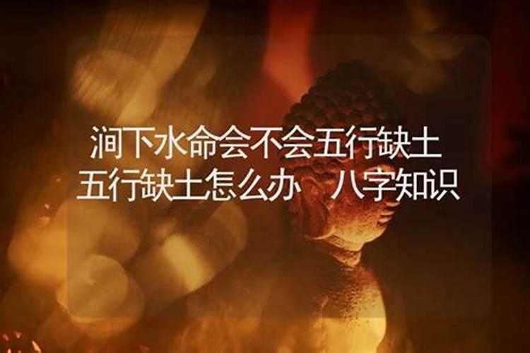 怎么平价李居明的饿命学？