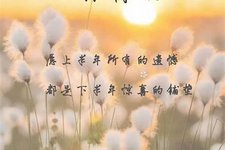 接下来三个月你会遇什么好事？