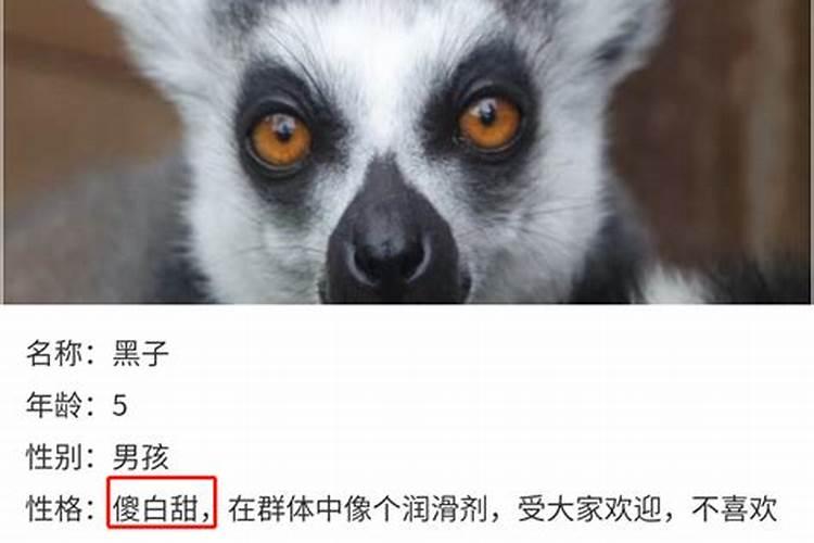 深藏不露这成语跟十二生肖那个生肖有关系。