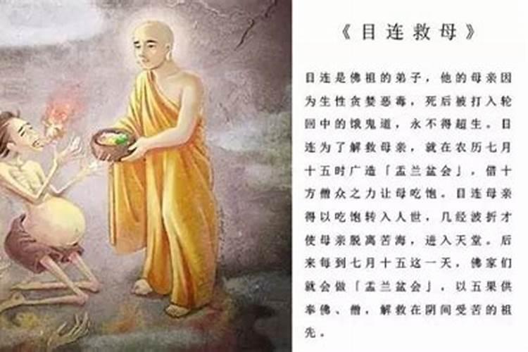 2025蛇宝宝避开几月份