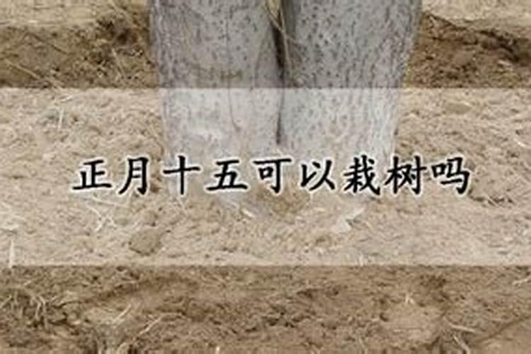 农历正月初五的禁忌
