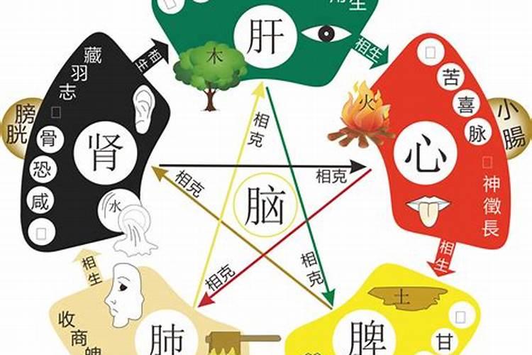 四季出生什么最旺