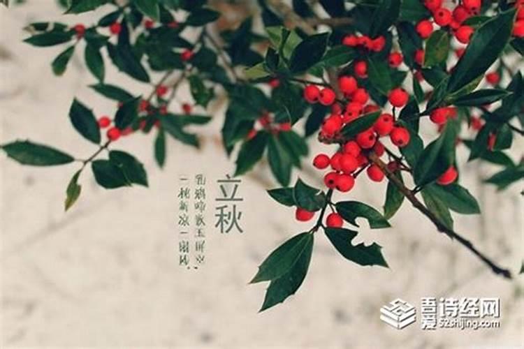 四季出生什么最旺