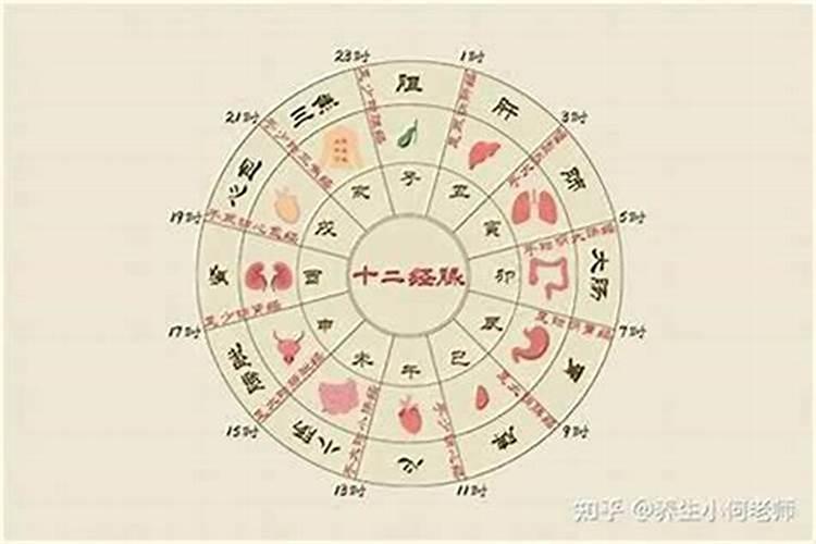 81年腊月二十五鸡鸣时候是几点