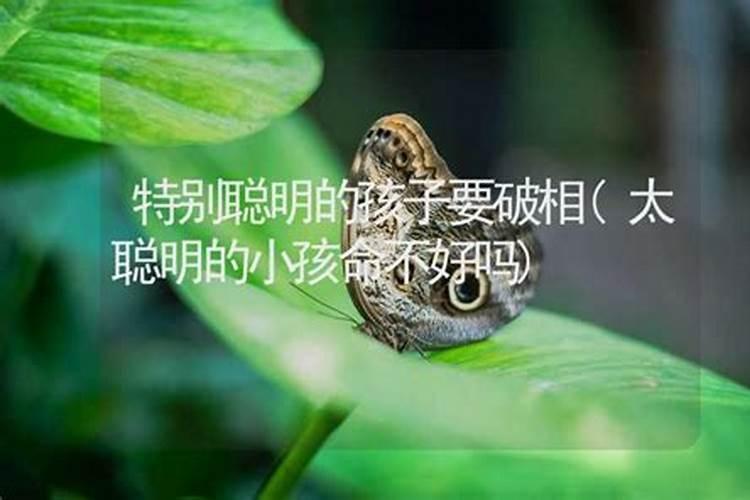 女儿和母亲相克的八字与母亲不合的八字特征