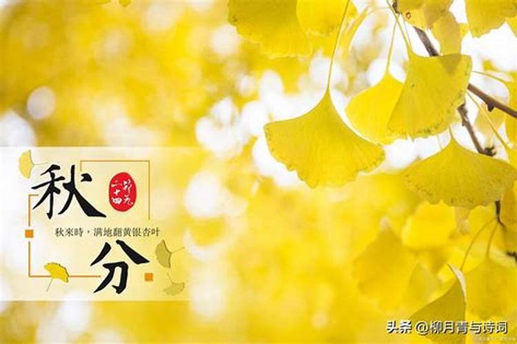 24节气秋分是什么意思