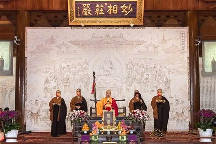 龙井的前世今生