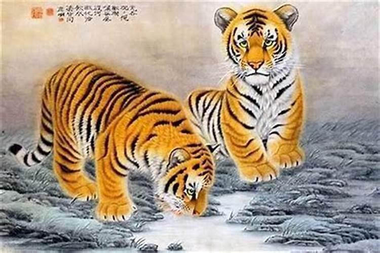 2025属虎的运势和财运