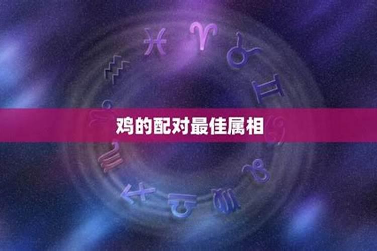 属鸡婚配什么属相最好女方属鸡的最佳婚配