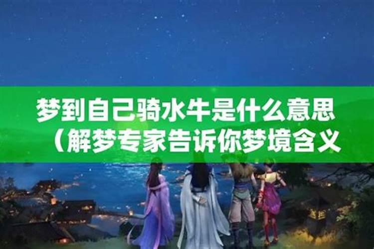 梦见指挥大象和水牛战斗