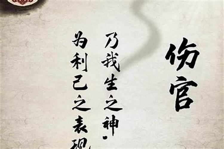 子午的意思子午的意思是什么