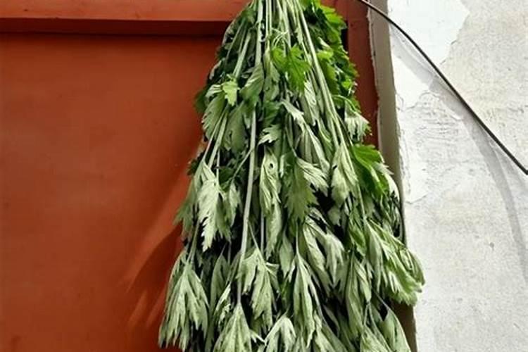 端午节艾草挂门左边还是右边