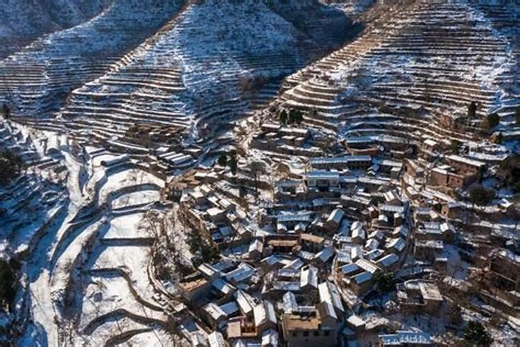 80年属猴人在2025年的每月运势