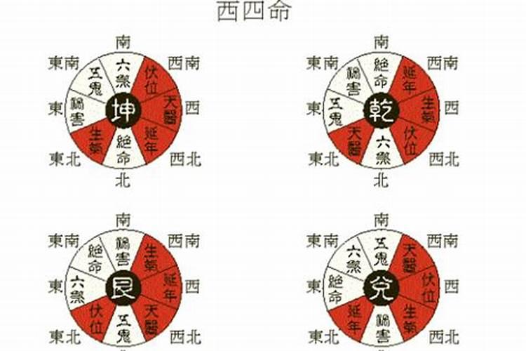 西四命的人特征是什么？
