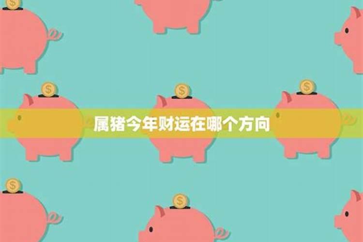 属猪的今年开店运气怎么样