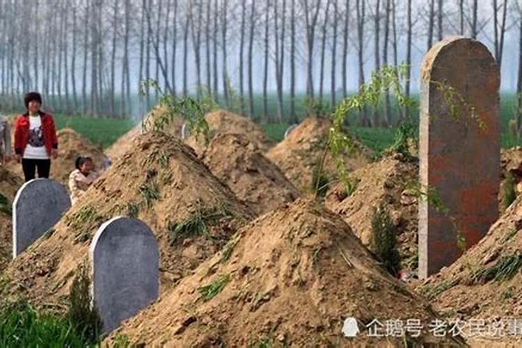老丈人家祖上迁坟女婿去了好不好？