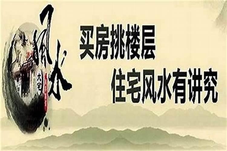 属鸡的巳时出生的命运好不好