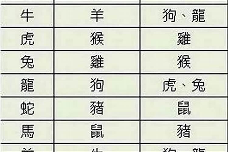 九九重阳代表什么生肖