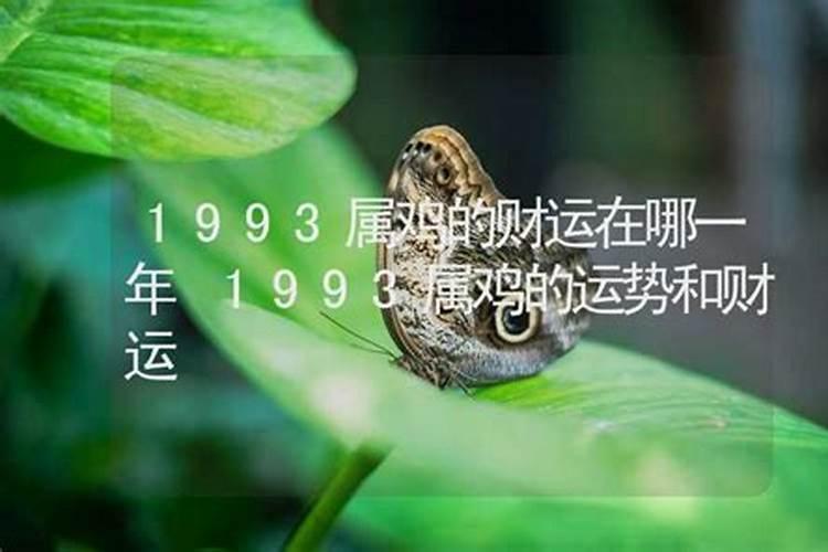 1993年属鸡转折点在哪一年 93年属鸡人如何提升个人运势