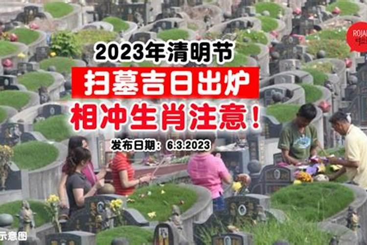 清明这天都干什么活
