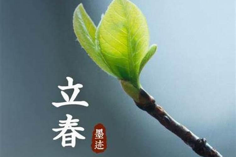 梦见老板来我家吃饭的预兆