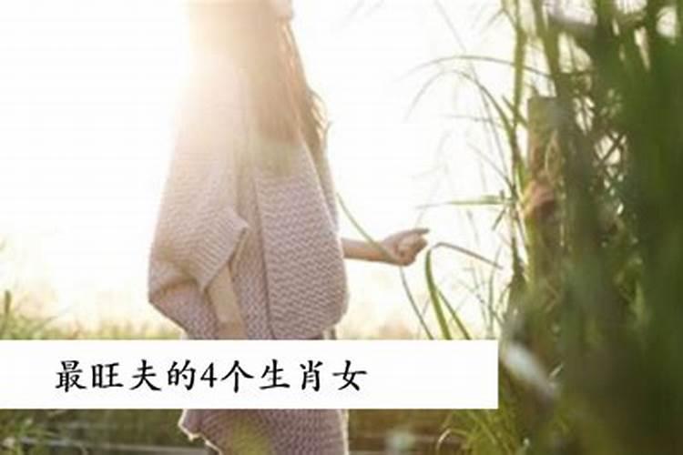 旺夫四大属相女