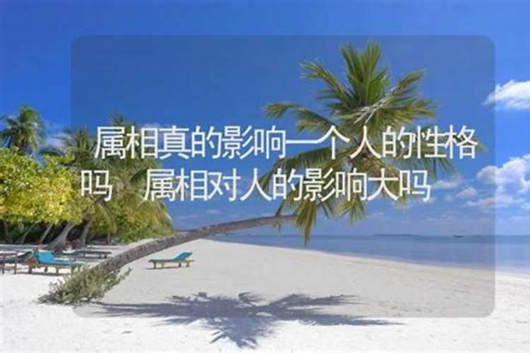 鸡猴属相婚配好吗