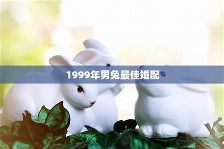1999年属兔24岁本命年要留意什么 本命年的姻缘与命运？