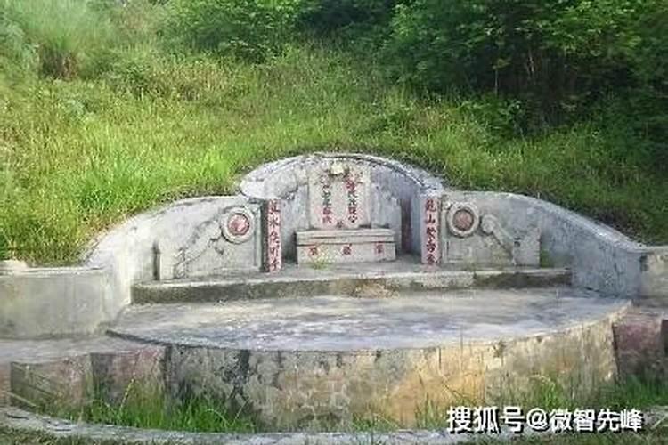 属猴最佳婚配前十名属相,属猴的和什么属相配偶好