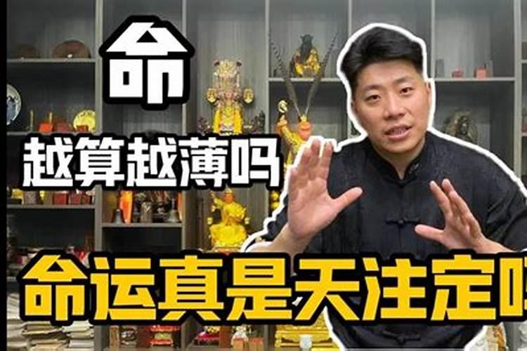 八月十五中秋节代表什么生肖？