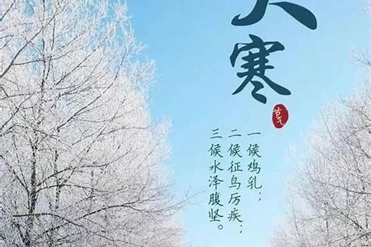 2025年属龙人一生命运